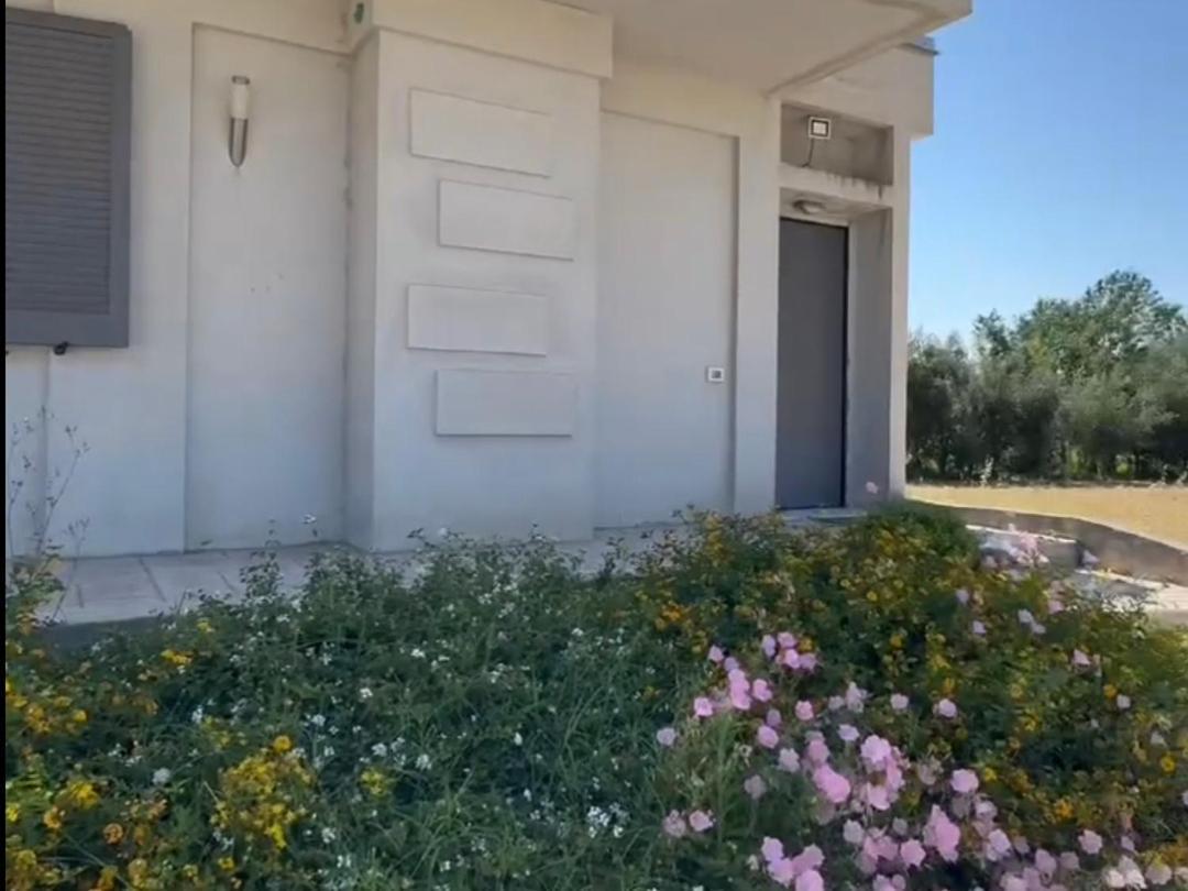 Gramp House Casa Vacanze Cellole Εξωτερικό φωτογραφία